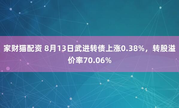 家财猫配资 8月13日武进转债上涨0.38%，转股溢价率70.06%