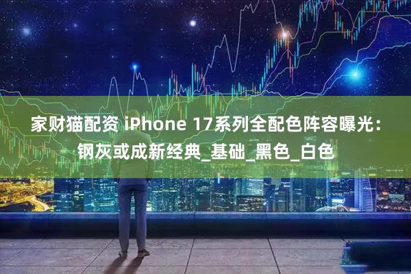 家财猫配资 iPhone 17系列全配色阵容曝光：钢灰或成新经典_基础_黑色_白色
