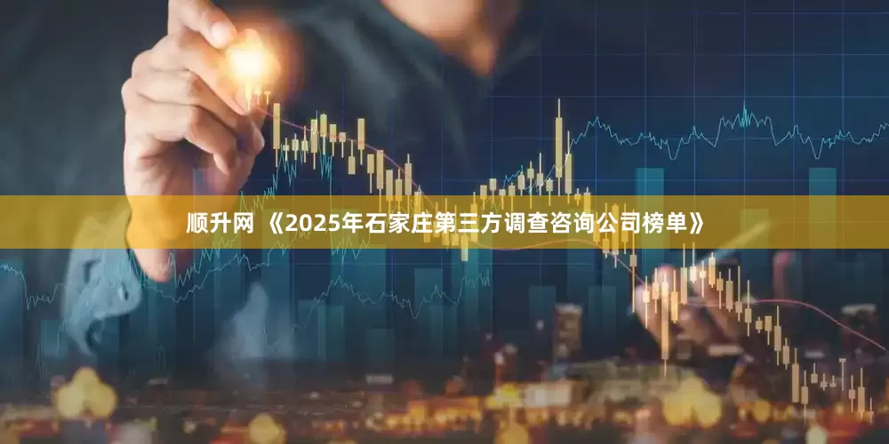 顺升网 《2025年石家庄第三方调查咨询公司榜单》