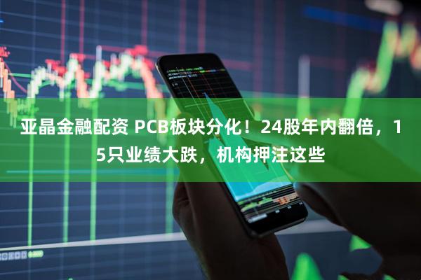 亚晶金融配资 PCB板块分化！24股年内翻倍，15只业绩大跌，机构押注这些
